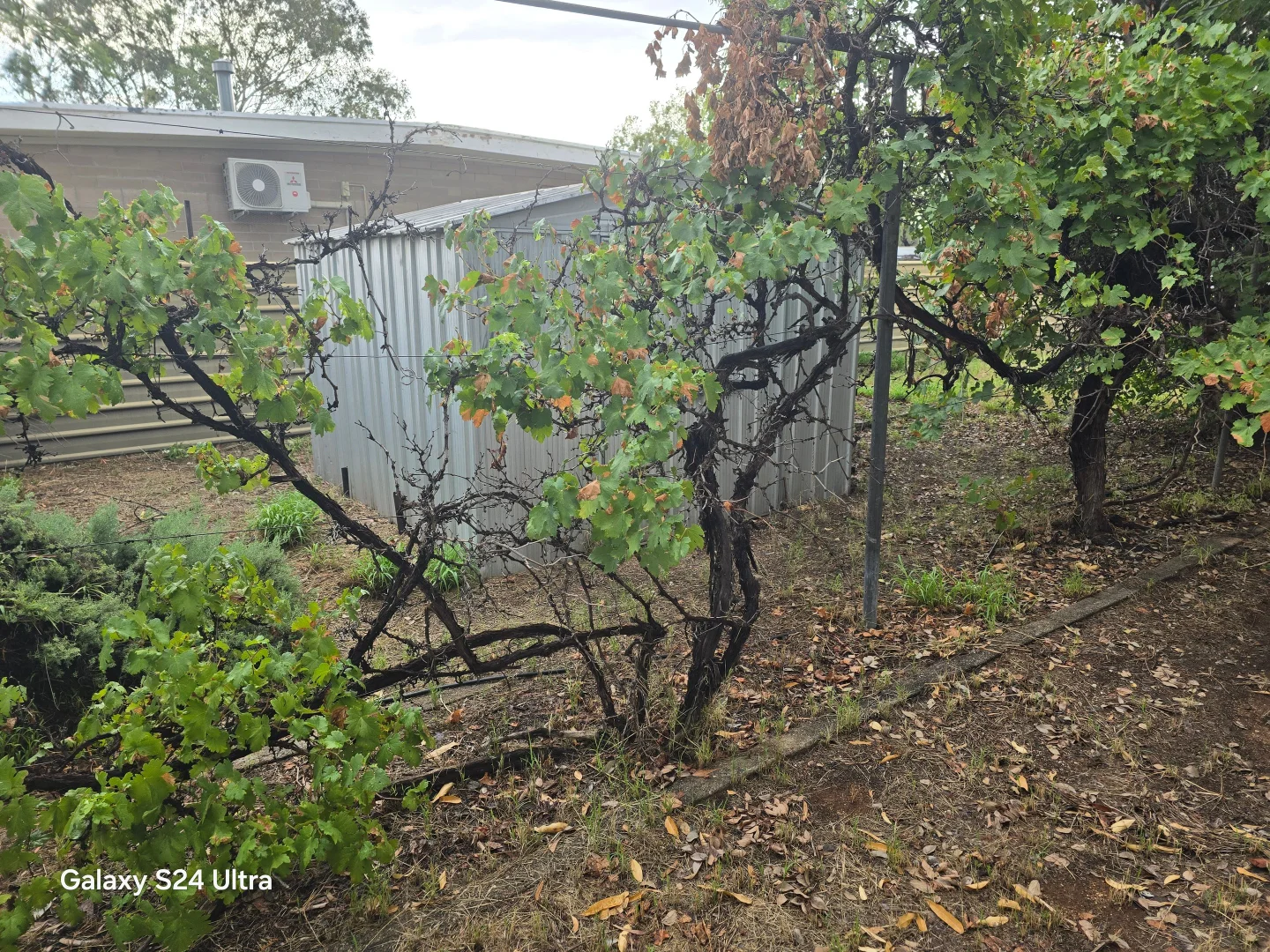 Additional image 7 of East Side NT 0870