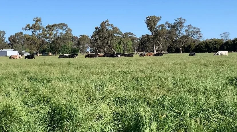 Additional image 18 of 1448 Labuan Road, Marungi VIC 3634