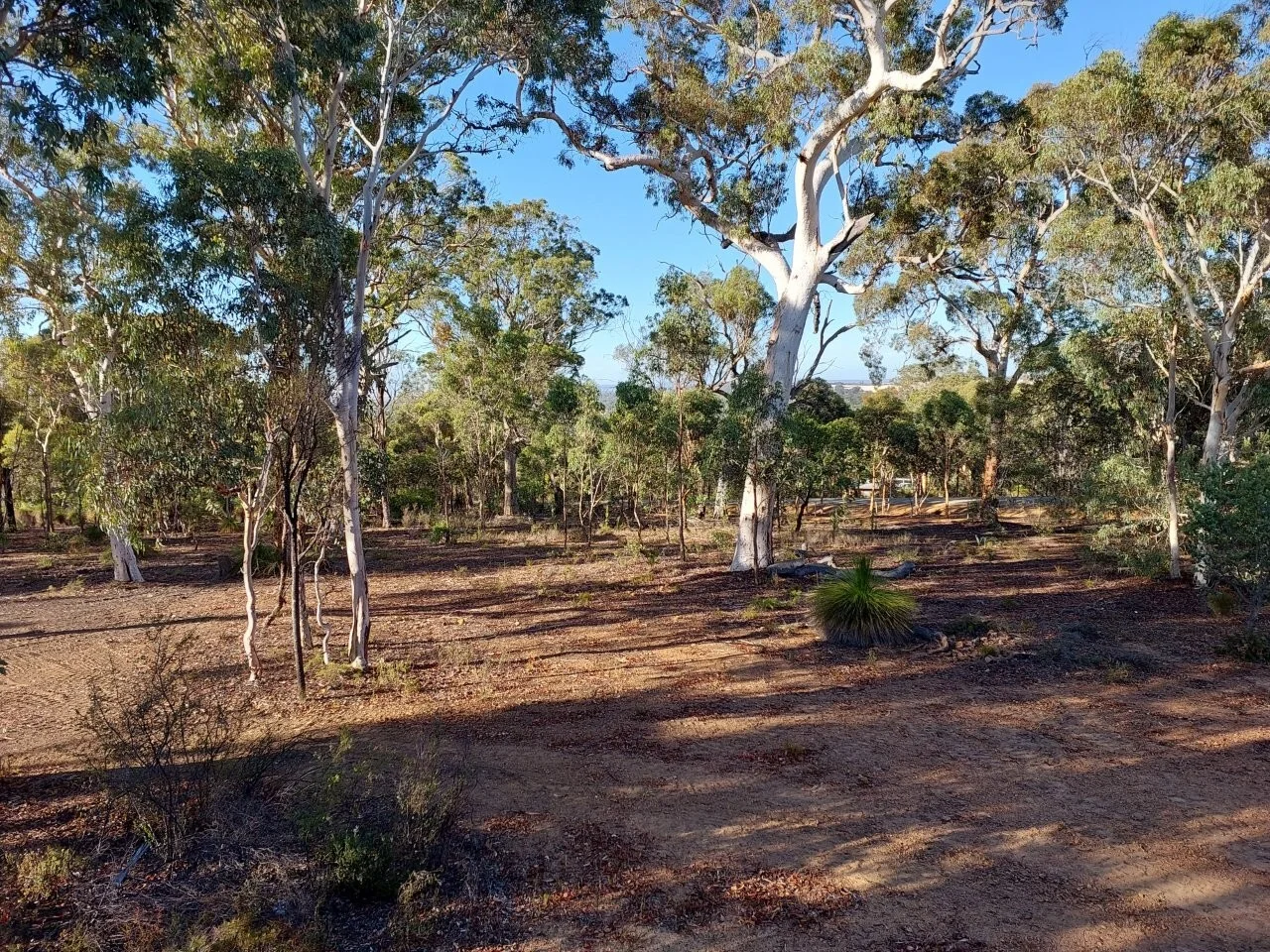 Additional image 2 of LOT 39 Laterite Way, Coondle WA 6566