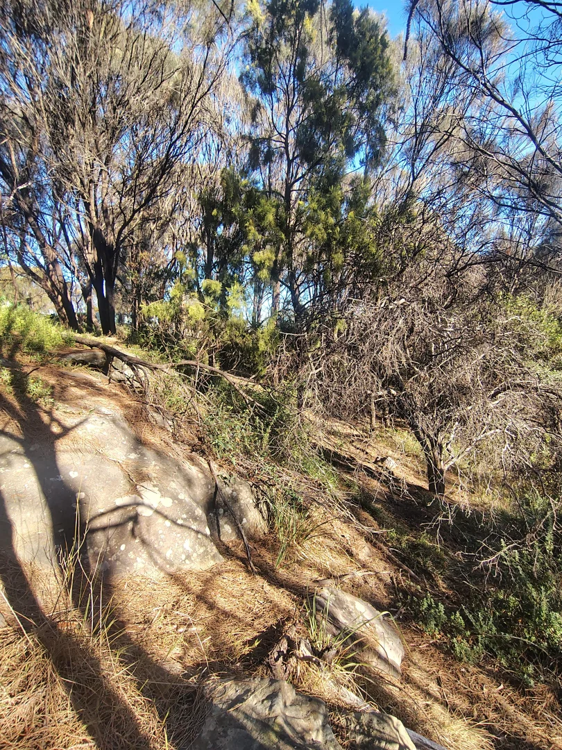 Additional image 6 of 12-14 Church street, Dodges Ferry TAS 7173