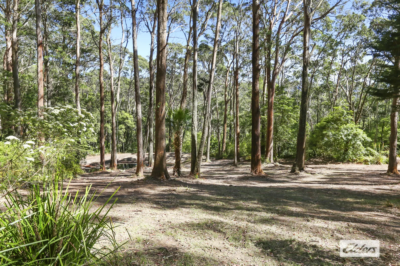Additional image 18 of 948 Jamberoo Mountain Road, Jamberoo NSW 2533