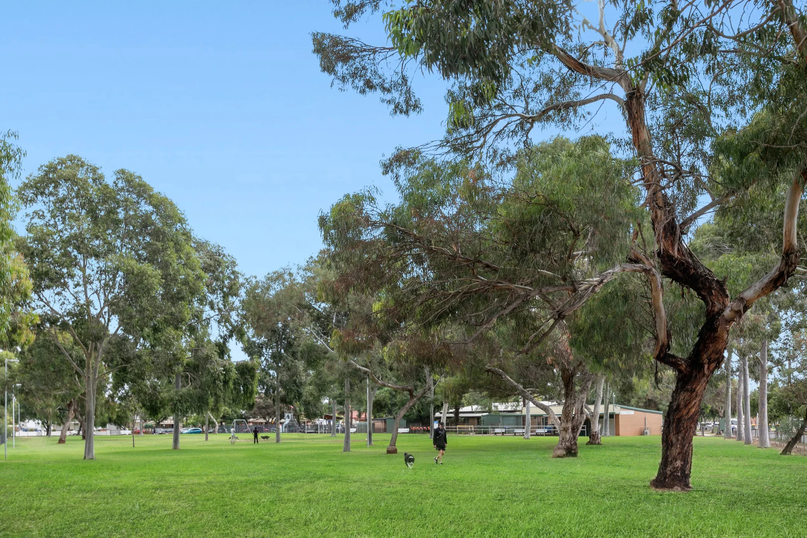 Additional image 34 of 8 Fairweather Avenue, Woodville South SA 5011