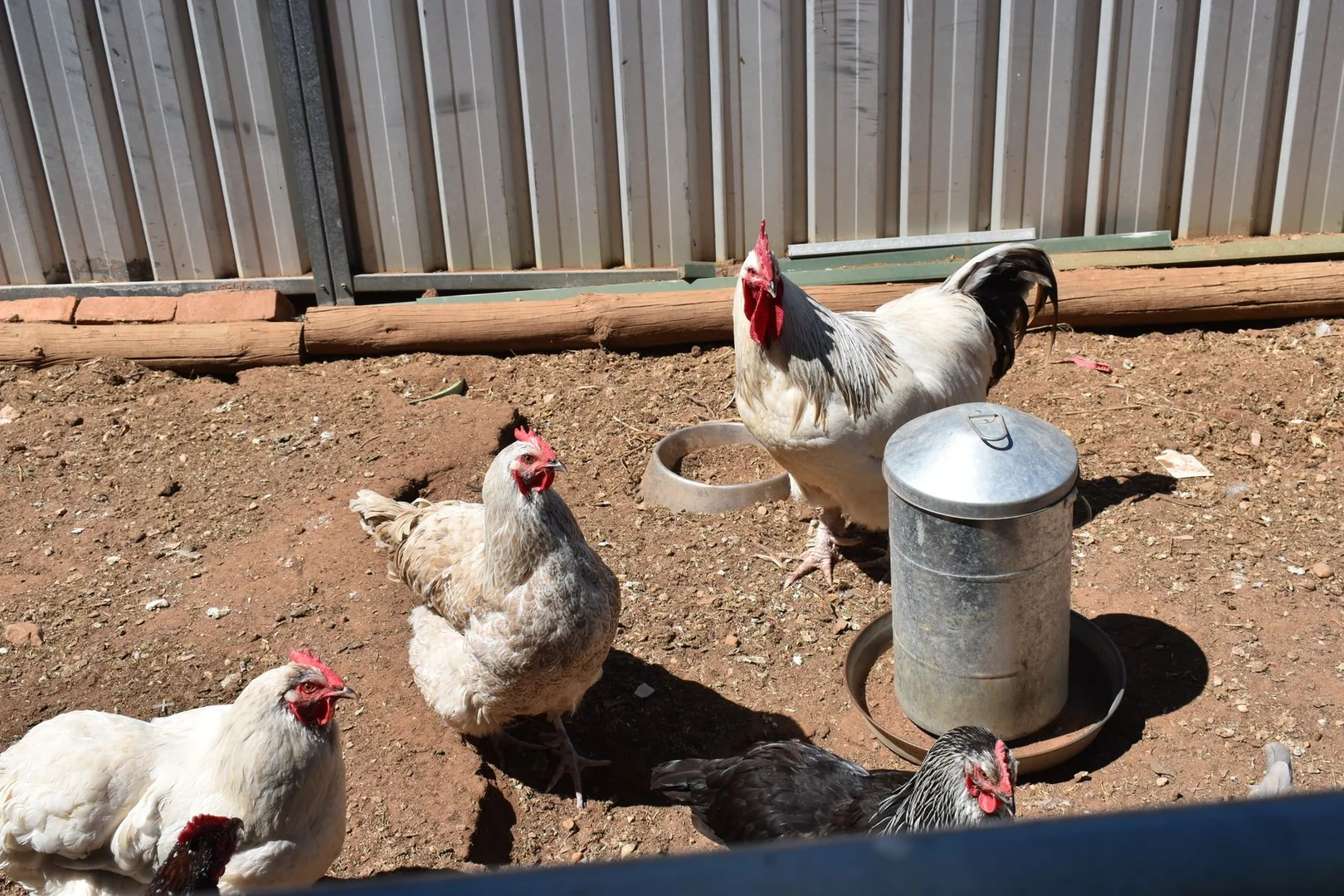 Additional image 13 of 22 EAST TERRACE, Brinkworth SA 5464