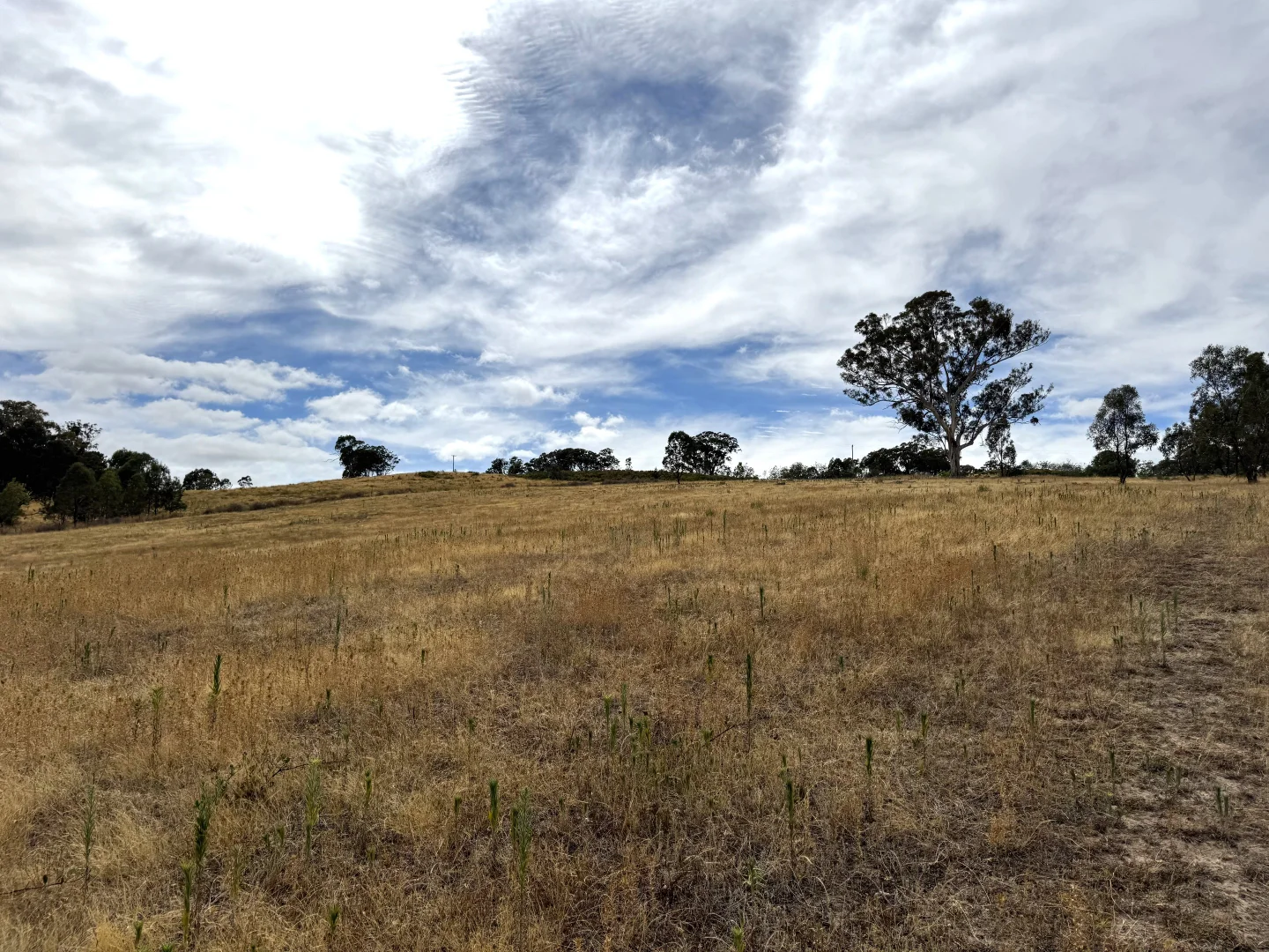 Additional image 8 of 848 Kentucky Road, Neville NSW 2799