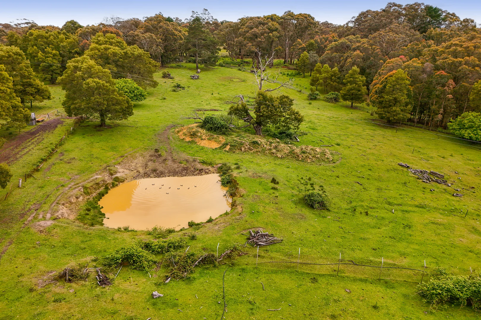 Additional image 11 of 135 Boldiston Road, Woodend VIC 3442