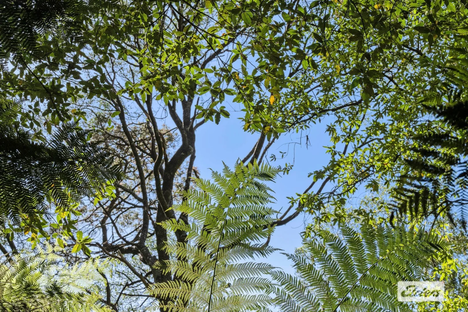 Additional image 44 of 383 Castra Road, Ulverstone TAS 7315