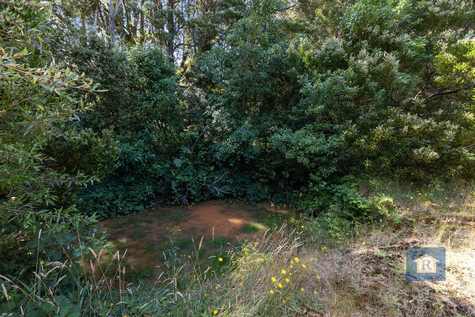 Additional image 11 of 22 Old Main Road, Beech Forest VIC 3237