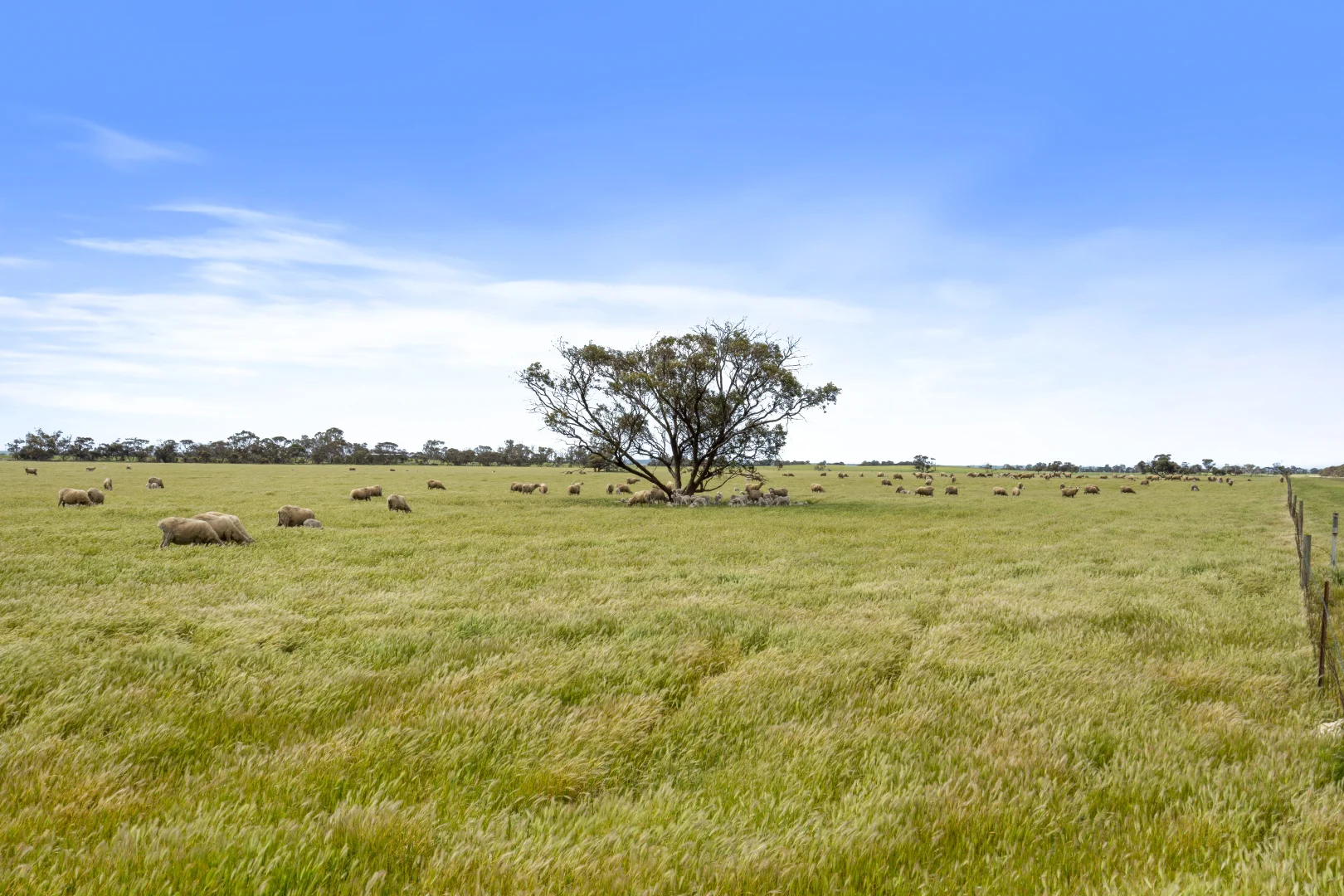 Additional image 18 of 378 Jones Road, Yumali SA 5261