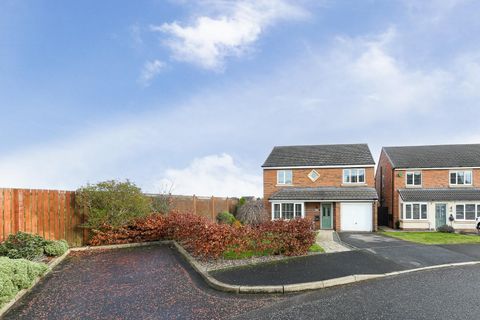 Havannah Drive, Wideopen NE13