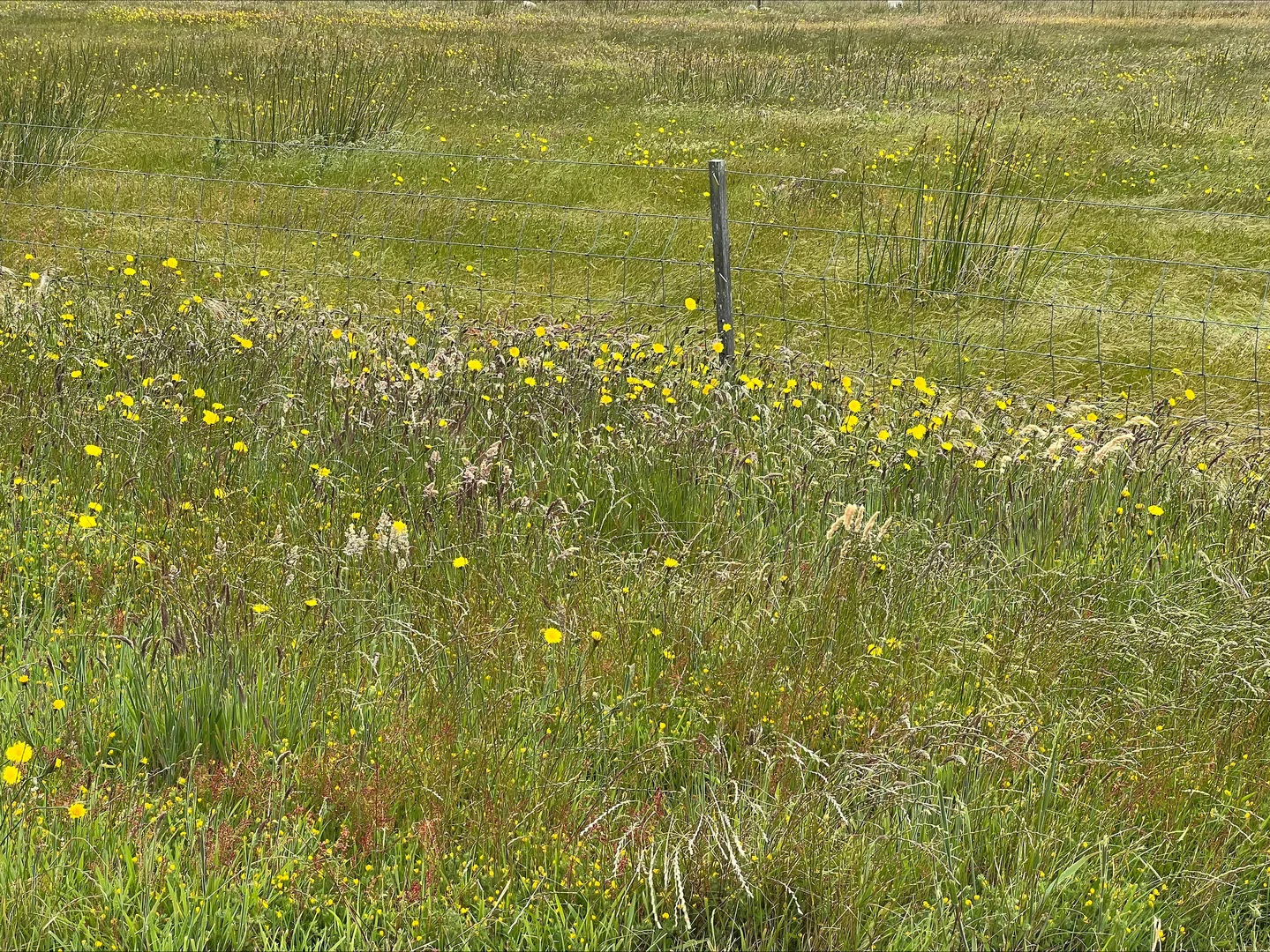 Additional image 8 of Lot 1, 22 Baileys Lane, Whitemark TAS 7255