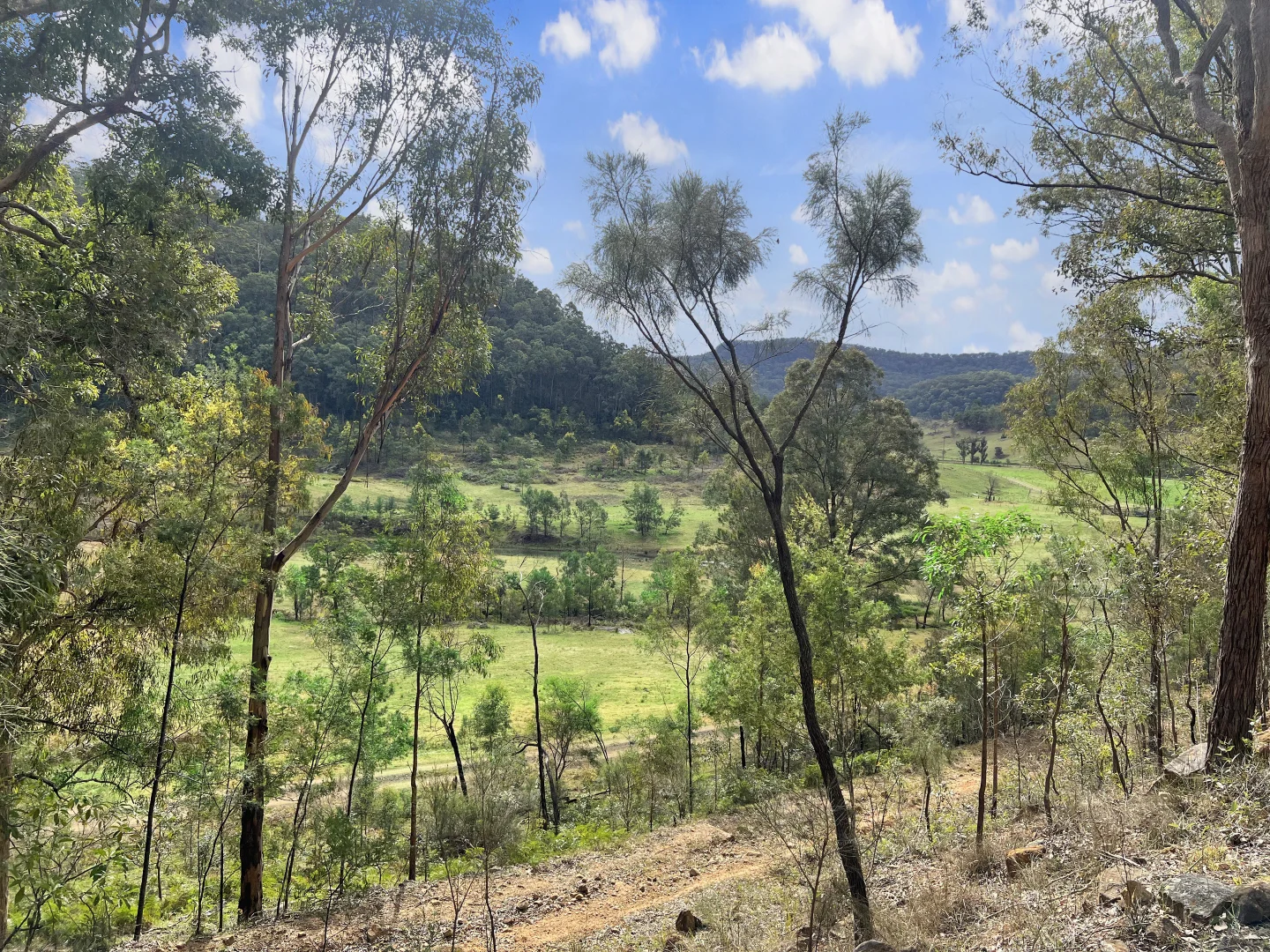 Additional image 19 of Parcel A Hitcham Park Dairy Arm Road, Laguna NSW 2325