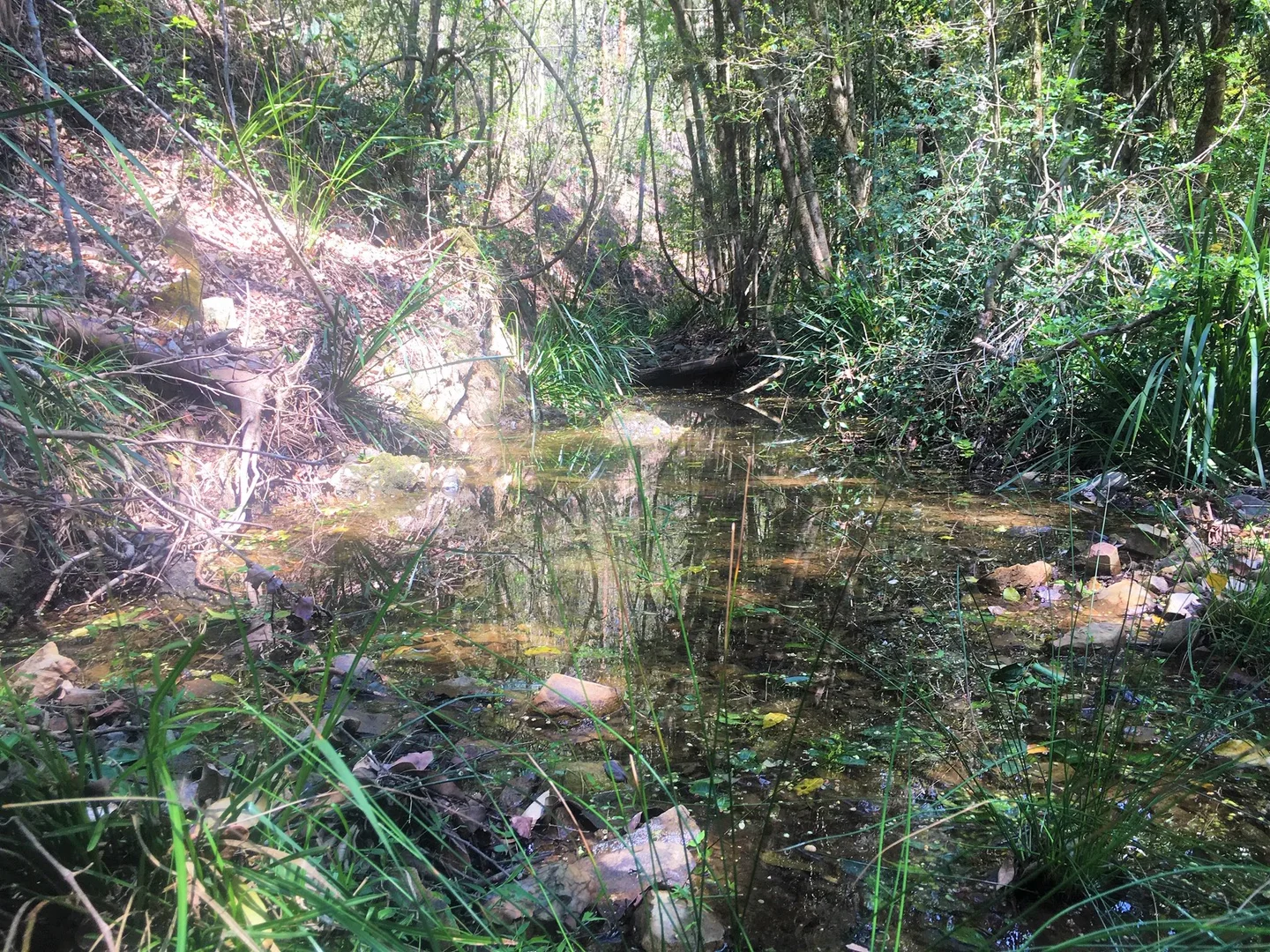 Additional image 10 of 702 Comboyne Road, Byabarra NSW 2446