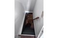 Additional image 21 of 3427 Ravenwood Ave, Baltimore, MD, 21213