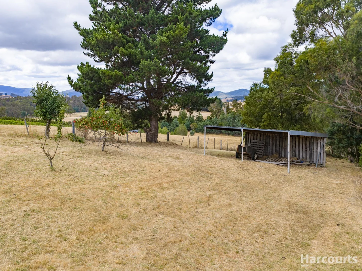 Additional image 18 of 1796 Pipers River Road, Lower Turners Marsh TAS 7267