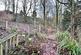 Additional image 18 of Oakland Glen, Walton-le-Dale, Preston, Lancashire, PR5
