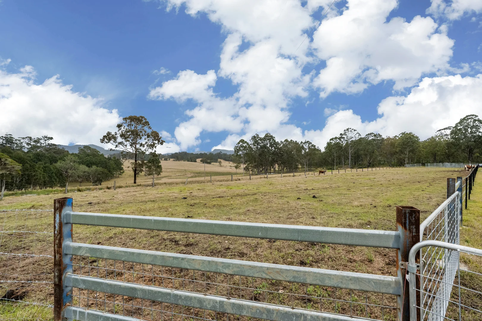 Additional image 19 of 2317 Coaldale Road, Coaldale NSW 2460