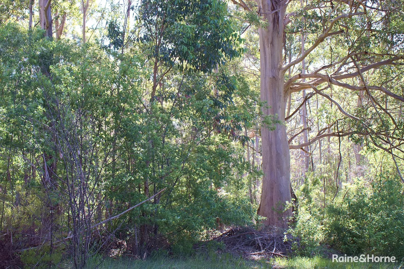 Additional image 26 of 198 Glenrowan Road, Scotsdale WA 6333