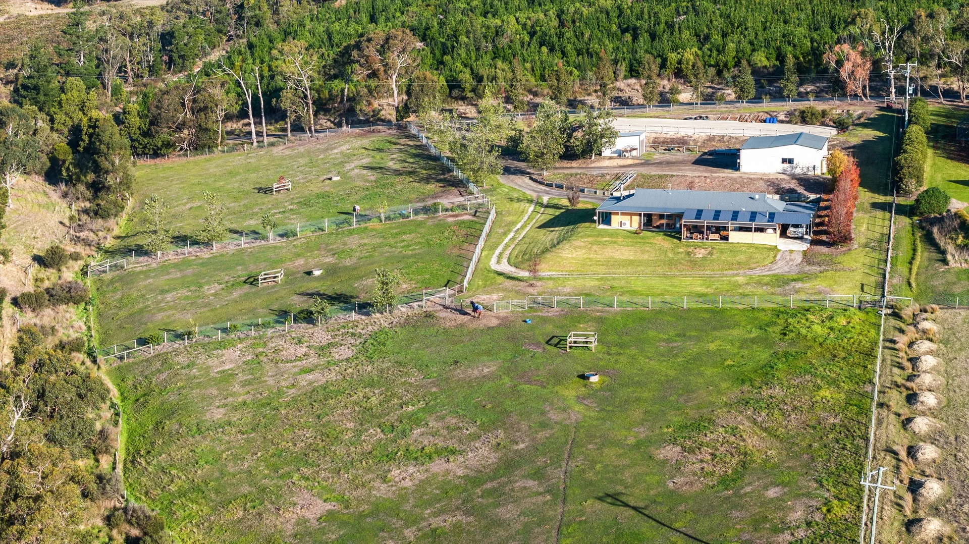 Additional image 6 of 199 Sagars Road, Hazelwood North VIC 3840