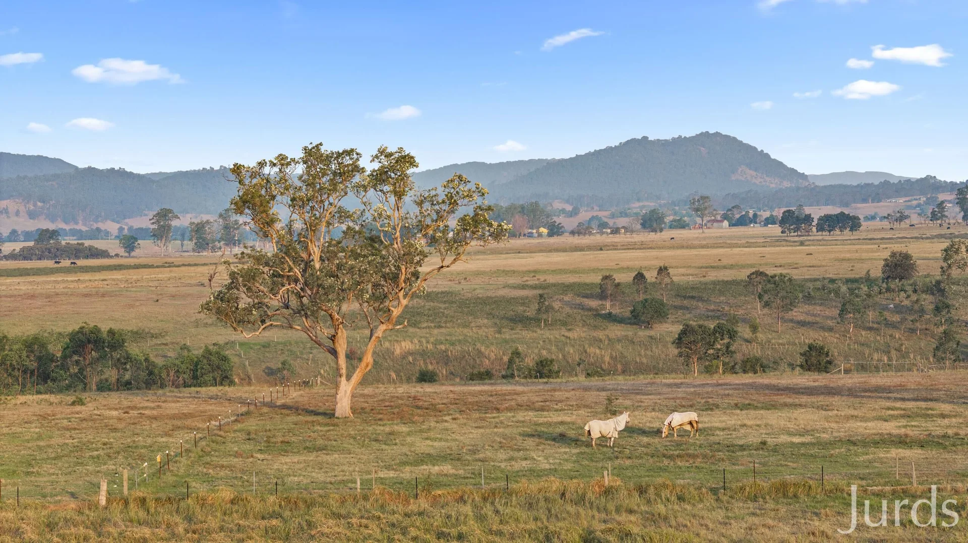 Additional image 16 of 232C Fernhill Road, Dalwood NSW 2335