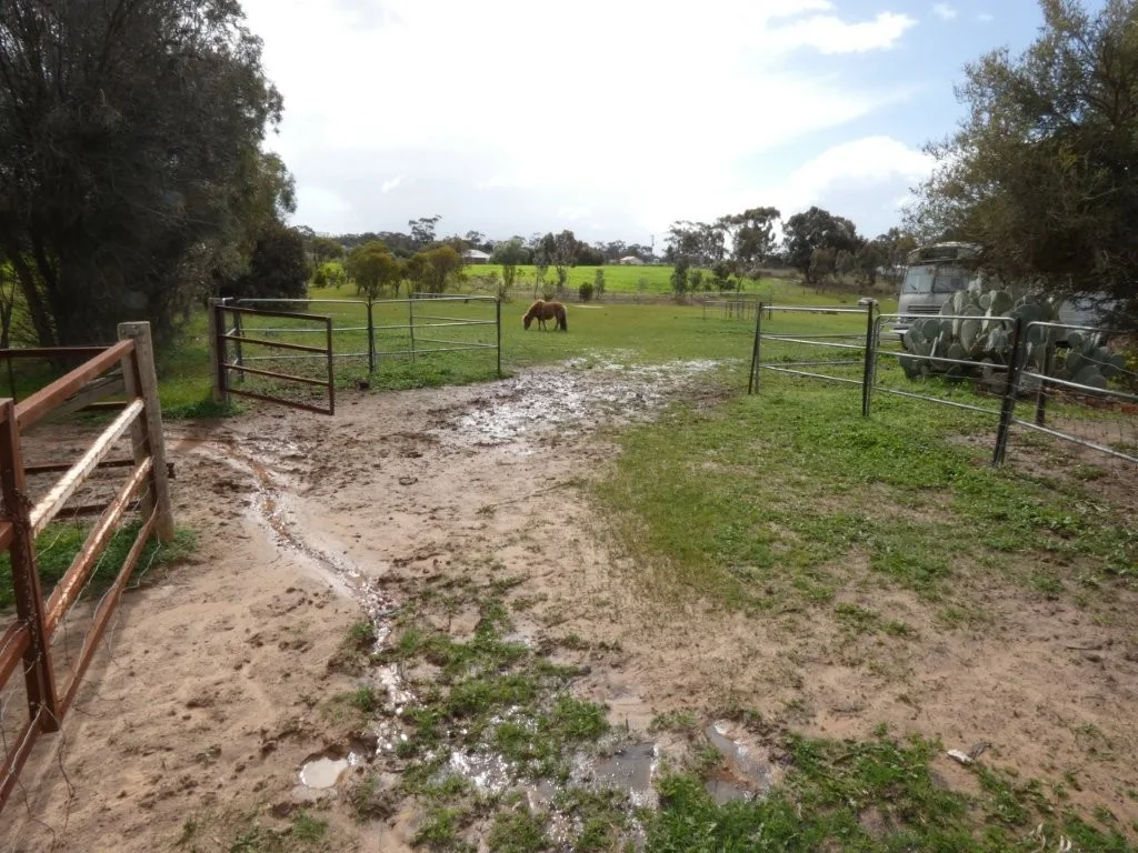 Additional image 18 of Patterson Rd, Dimboola VIC 3414