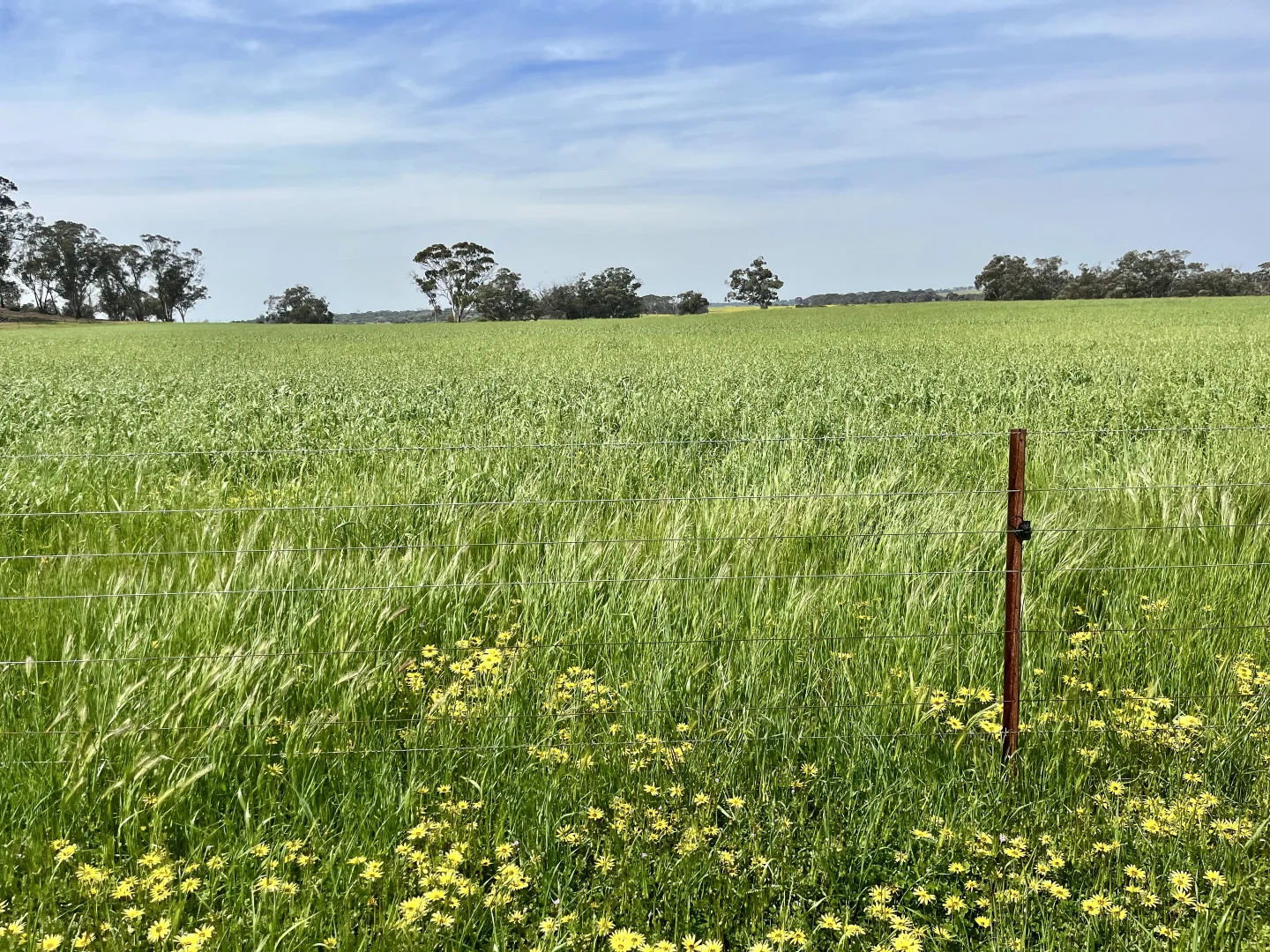 Additional image 31 of 547 Bunmulling Road, Popanyinning WA 6309