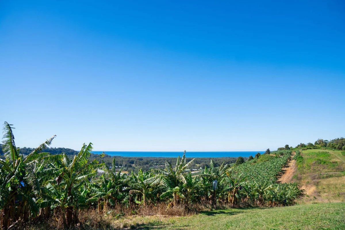 Additional image 8 of 20 Puhos Road, Sandy Beach NSW 2456