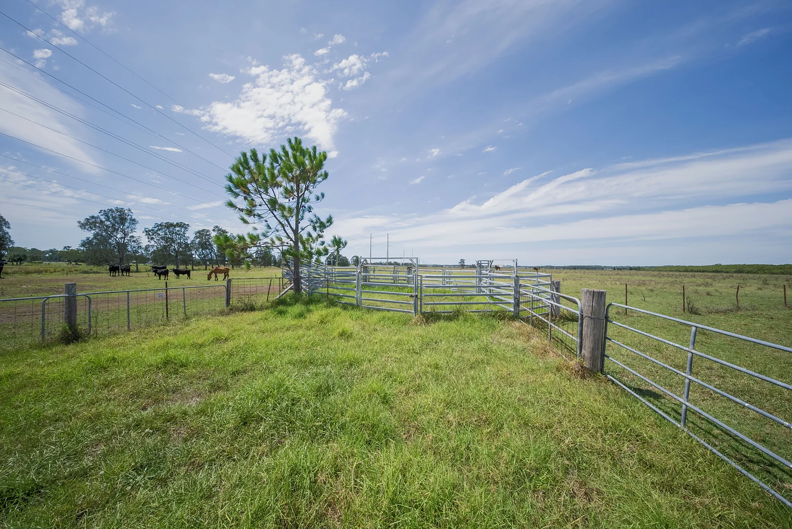 Additional image 24 of 285 Cabbage Tree Road, Williamtown NSW 2318