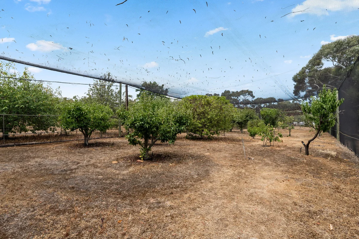 Additional image 23 of 6 Burnside Road, Strathalbyn SA 5255