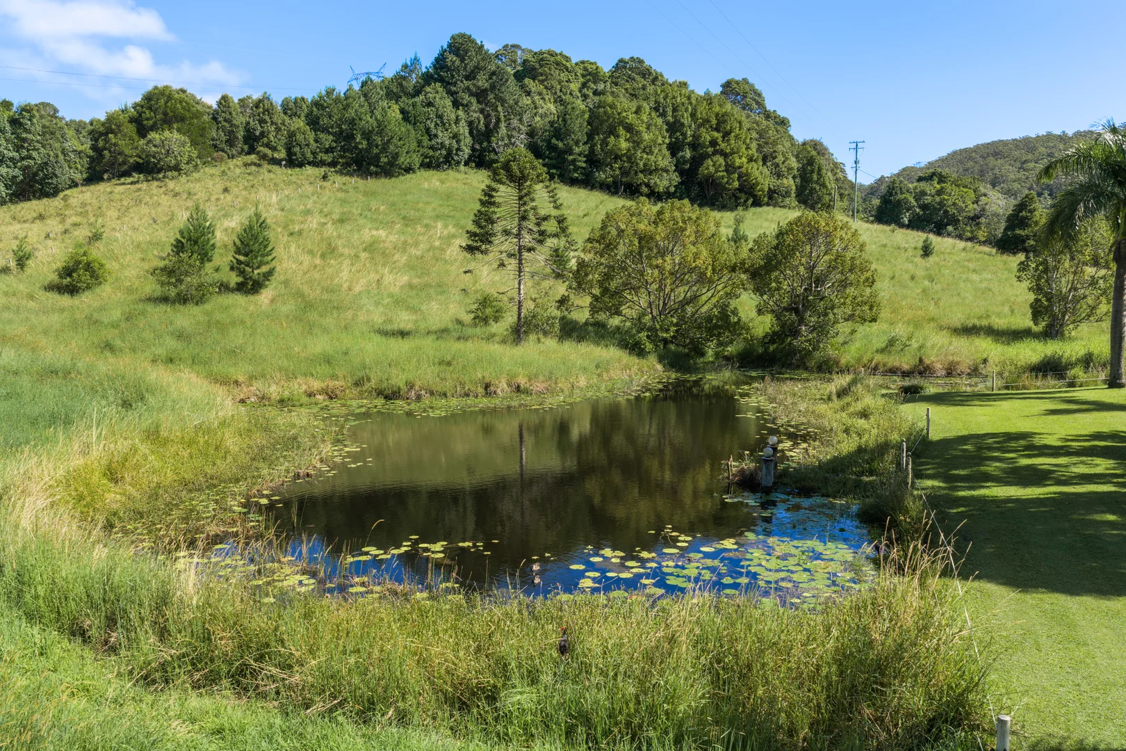 Additional image 29 of 27 Smith Road, Kureelpa QLD 4560