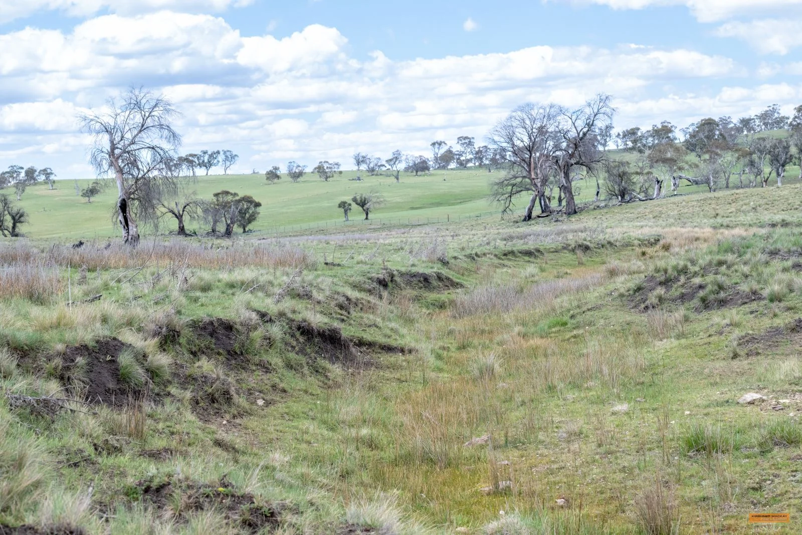 Additional image 11 of Lot 6 Avonside Road, Avonside NSW 2628