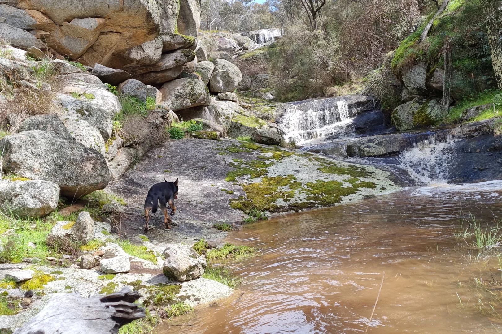 Additional image 41 of 246 Clements Road, Woodstock NSW 2793