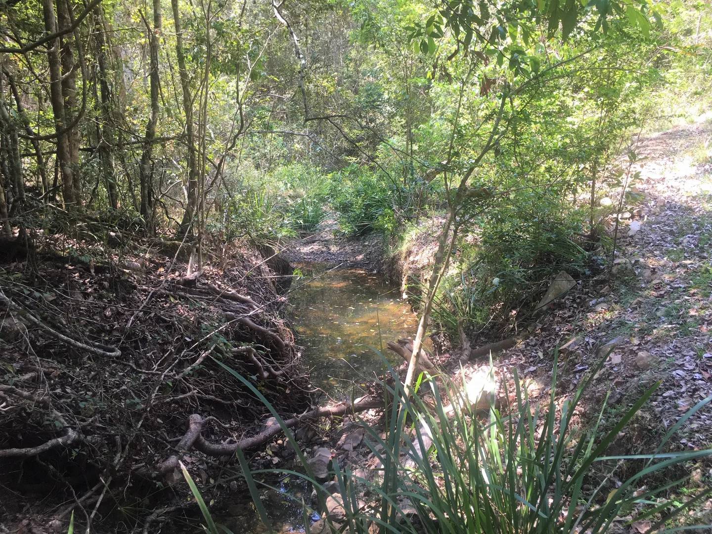 Additional image 11 of 702 Comboyne Road, Byabarra NSW 2446