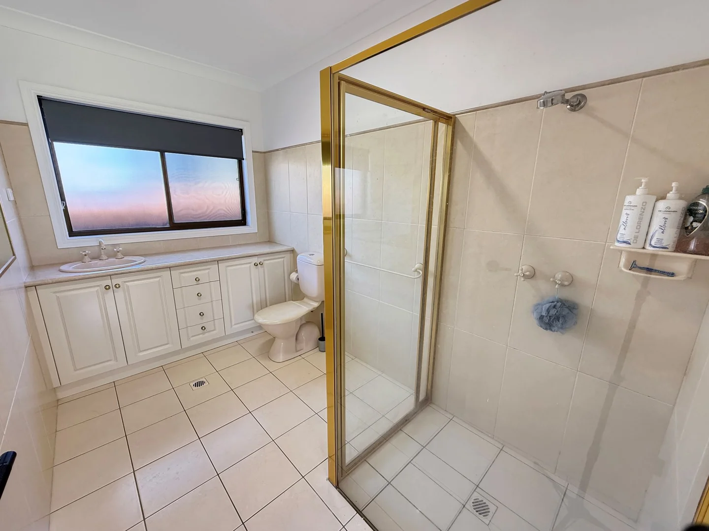 Additional image 10 of 23 Roma Avenue, Leeton NSW 2705