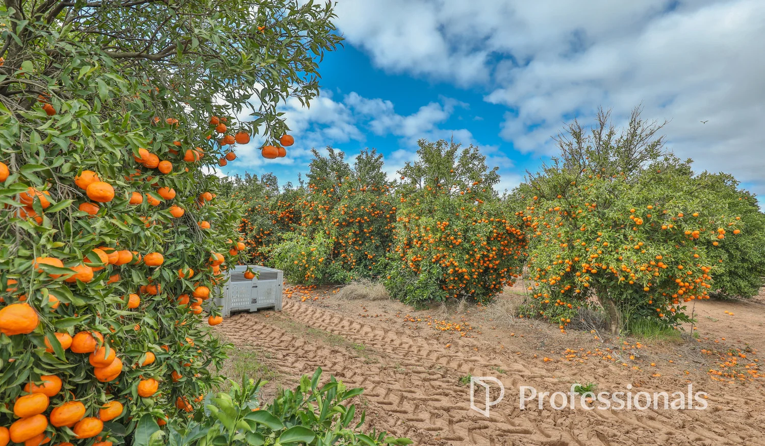 Additional image 27 of 45 Regent Drive, Colignan VIC 3494