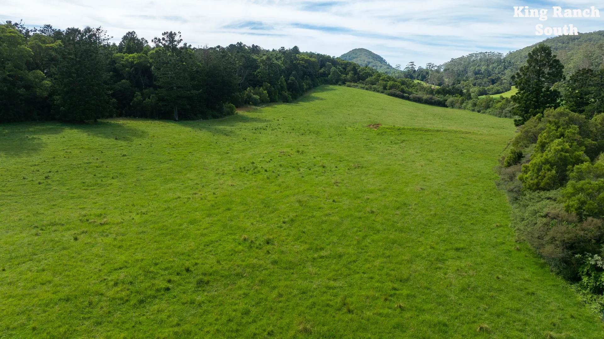 Additional image 33 of "King Ranch" 481 Upper Bobo Road, Coffs Harbour NSW 2450