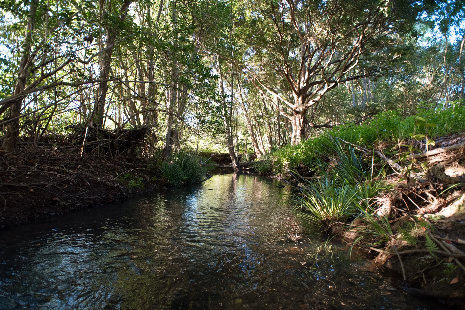 Additional image 14 of 38 Cooloon Street, Kunghur NSW 2484