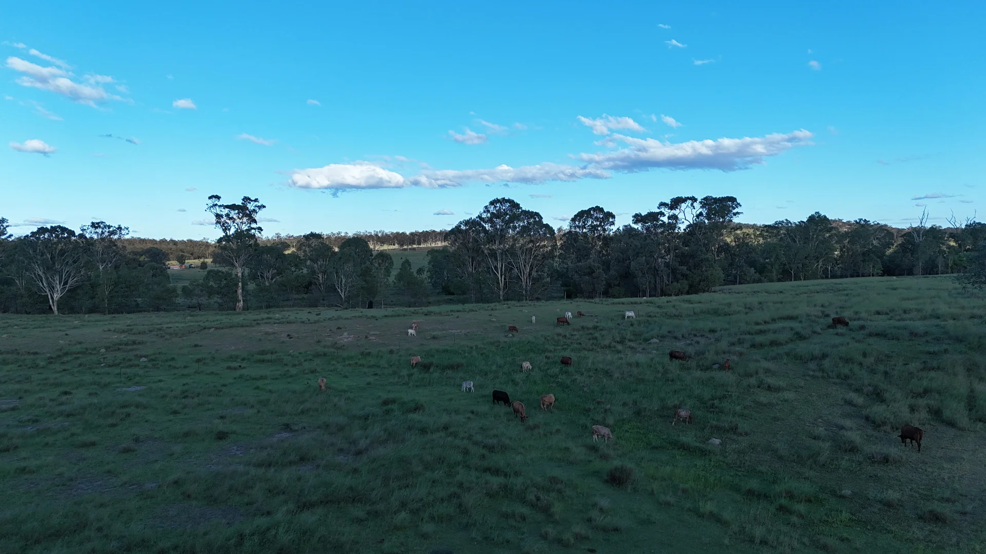 Additional image 4 of 24754 Burnett Highway, Ceratodus QLD 4627