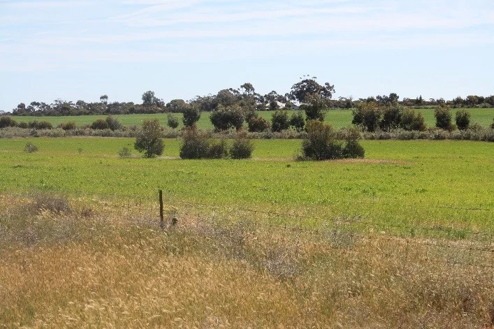 Additional image 4 of Lot 1, 905 Ngallo Road, Carina VIC 3512