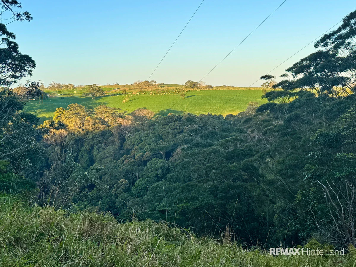 Additional image 13 of 161-273 Gap Road, Booroobin QLD 4552