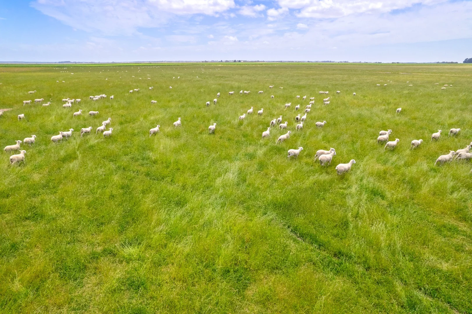 Lot 55 Princes Highway, Millicent SA 5280