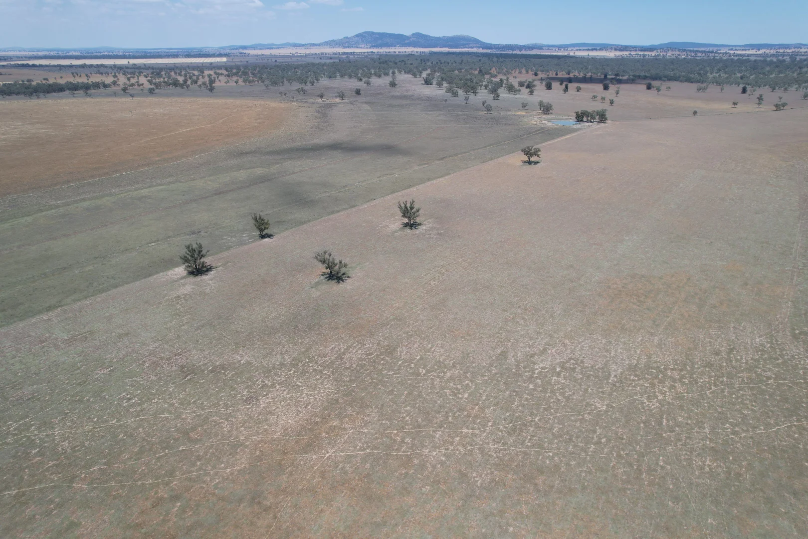 Additional image 7 of 94 Gullifers Road, Forbes NSW 2871