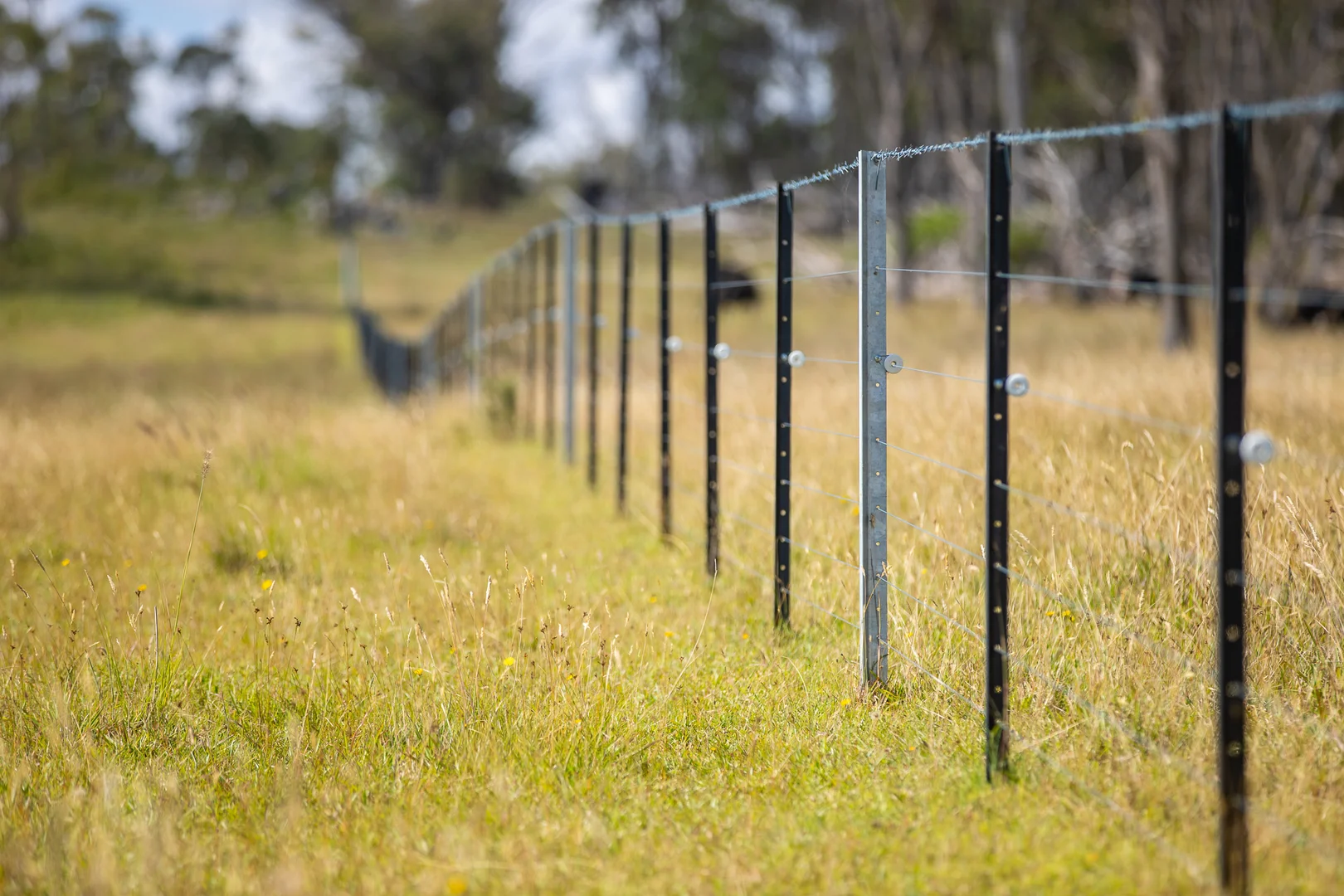 Additional image 8 of "Glen Bluff" 222 Riverview Road, Wards Mistake NSW 2350