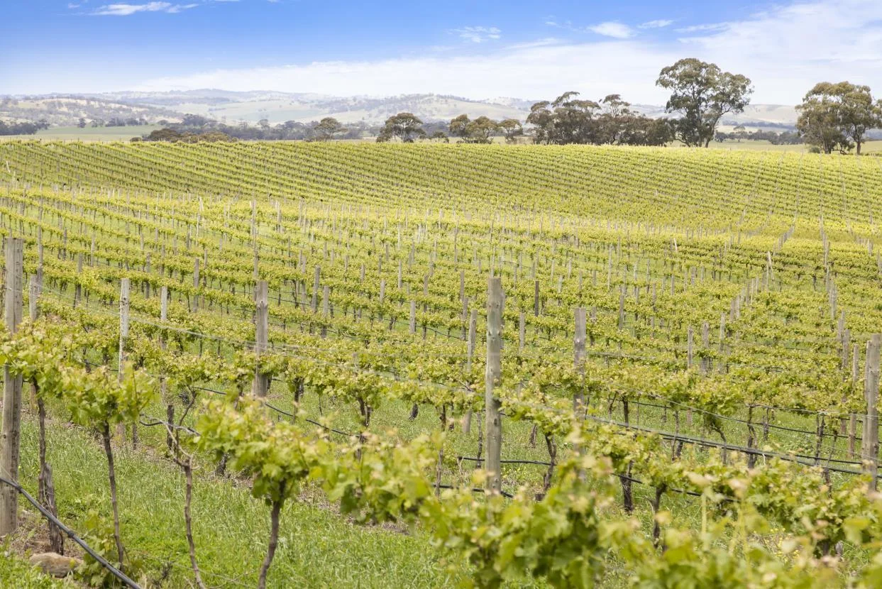 Additional image 6 of Lot 54 Tank Road, Auburn SA 5451