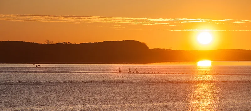 Additional image 6 of Lot 48 Blackwood Grove, Kudardup WA 6290