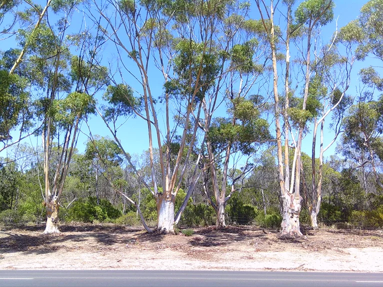 Additional image 32 of 11 Milne Terrace, Moonta SA 5558