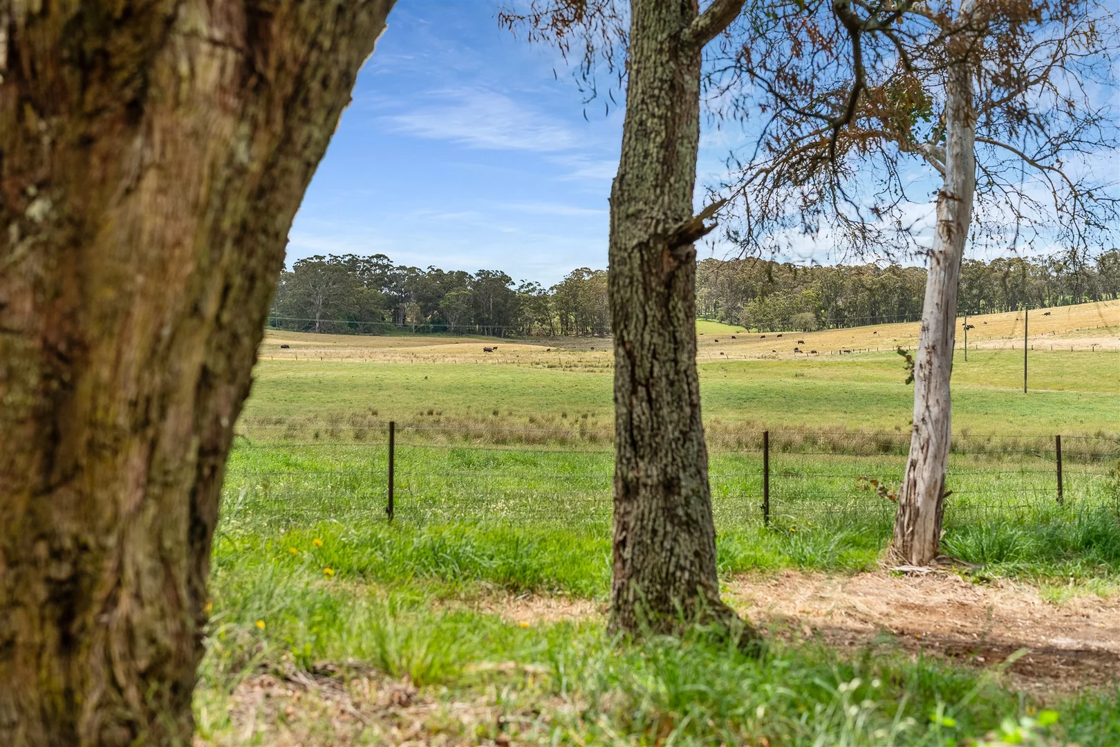 Additional image 14 of 697 Nowra Road, Moss Vale NSW 2577