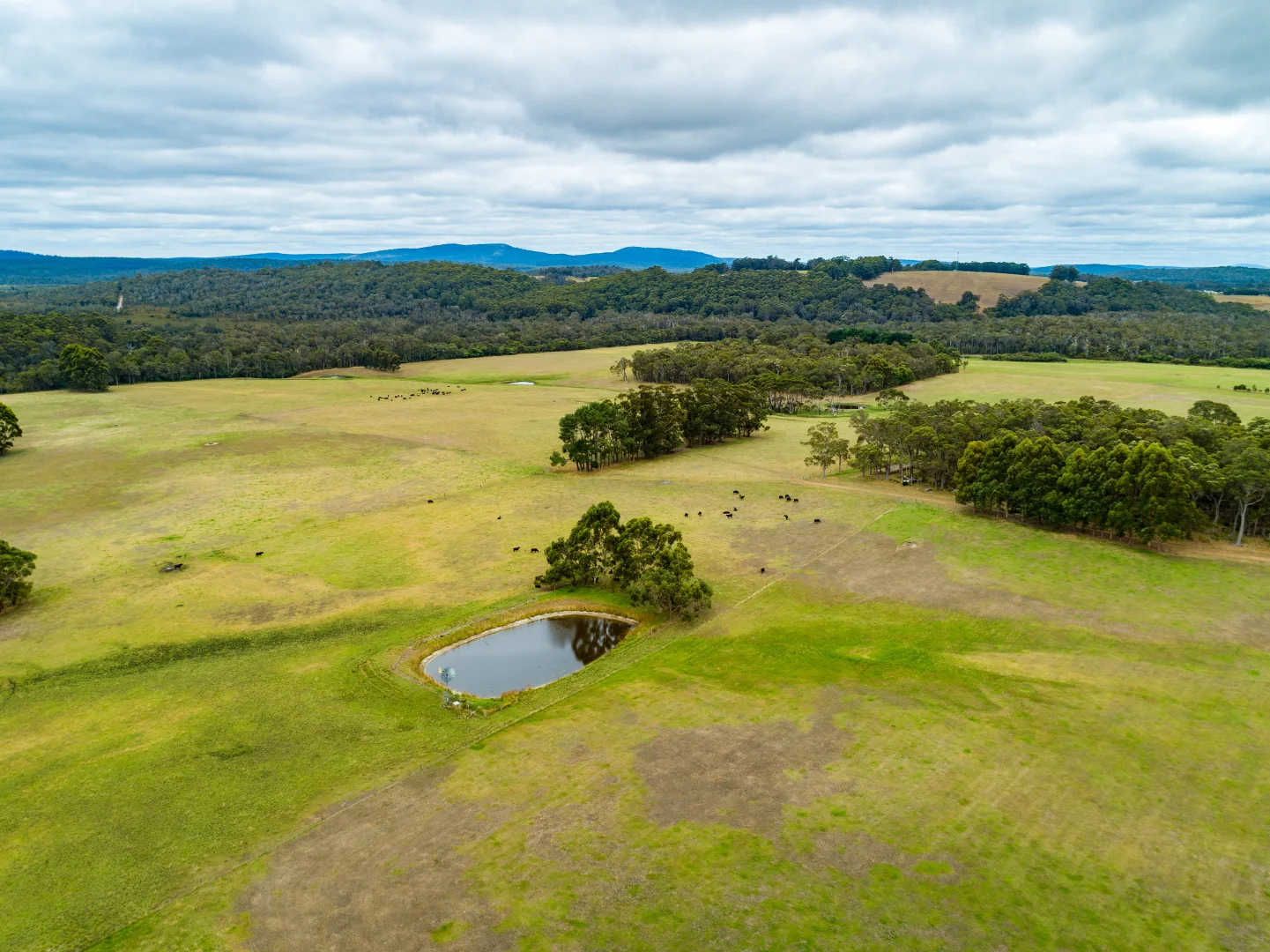Additional image 4 of 13070, Lot 13070 bridge road, North Walpole WA 6398