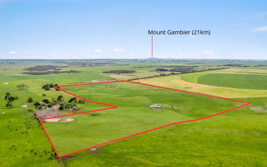 Additional image 9 of 687 Mount Salt Road, Mount Schank SA 5291