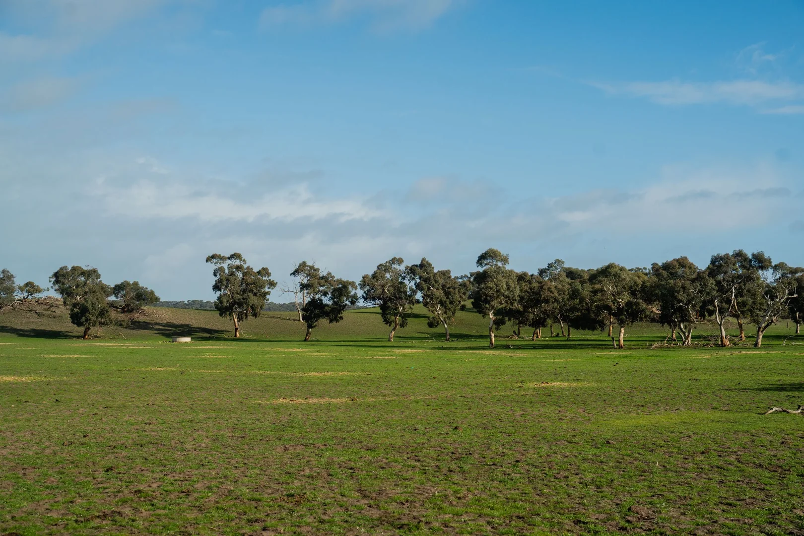 Additional image 4 of 394 Coombe Road, Tintinara SA 5266