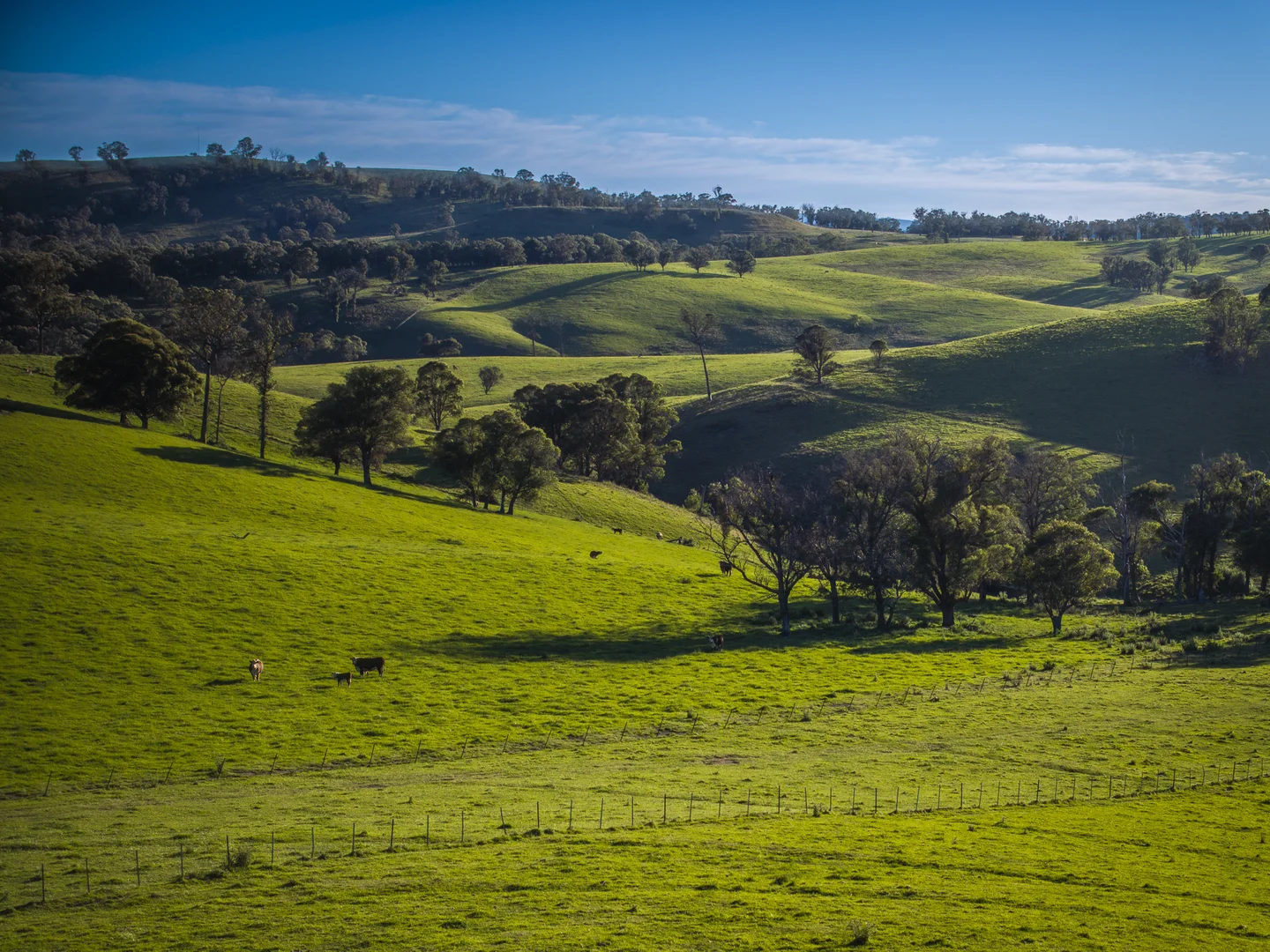 Additional image 2 of 338 Fishington Road, Wongwibinda NSW 2350